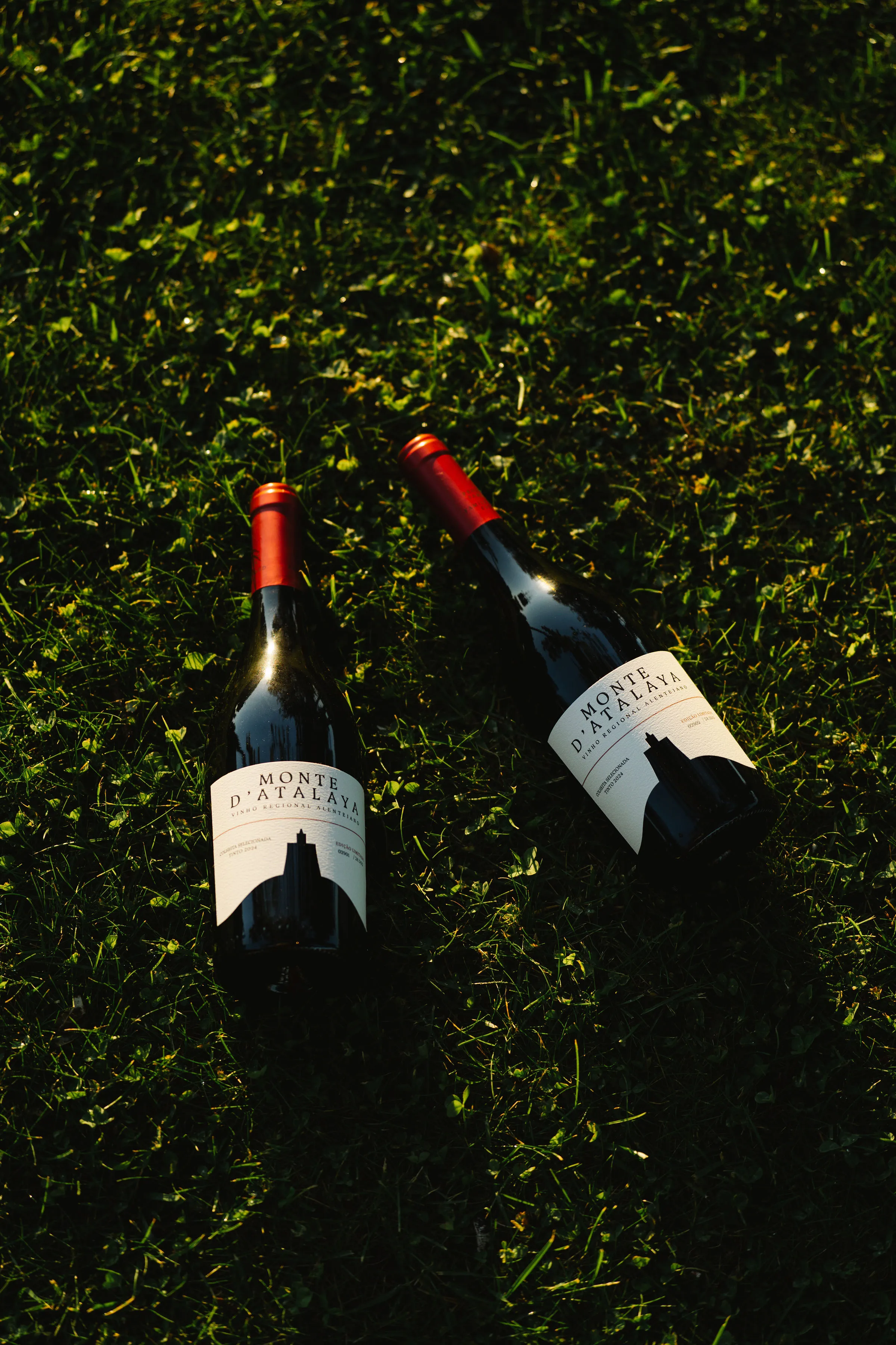 Garrafa entre a vinha