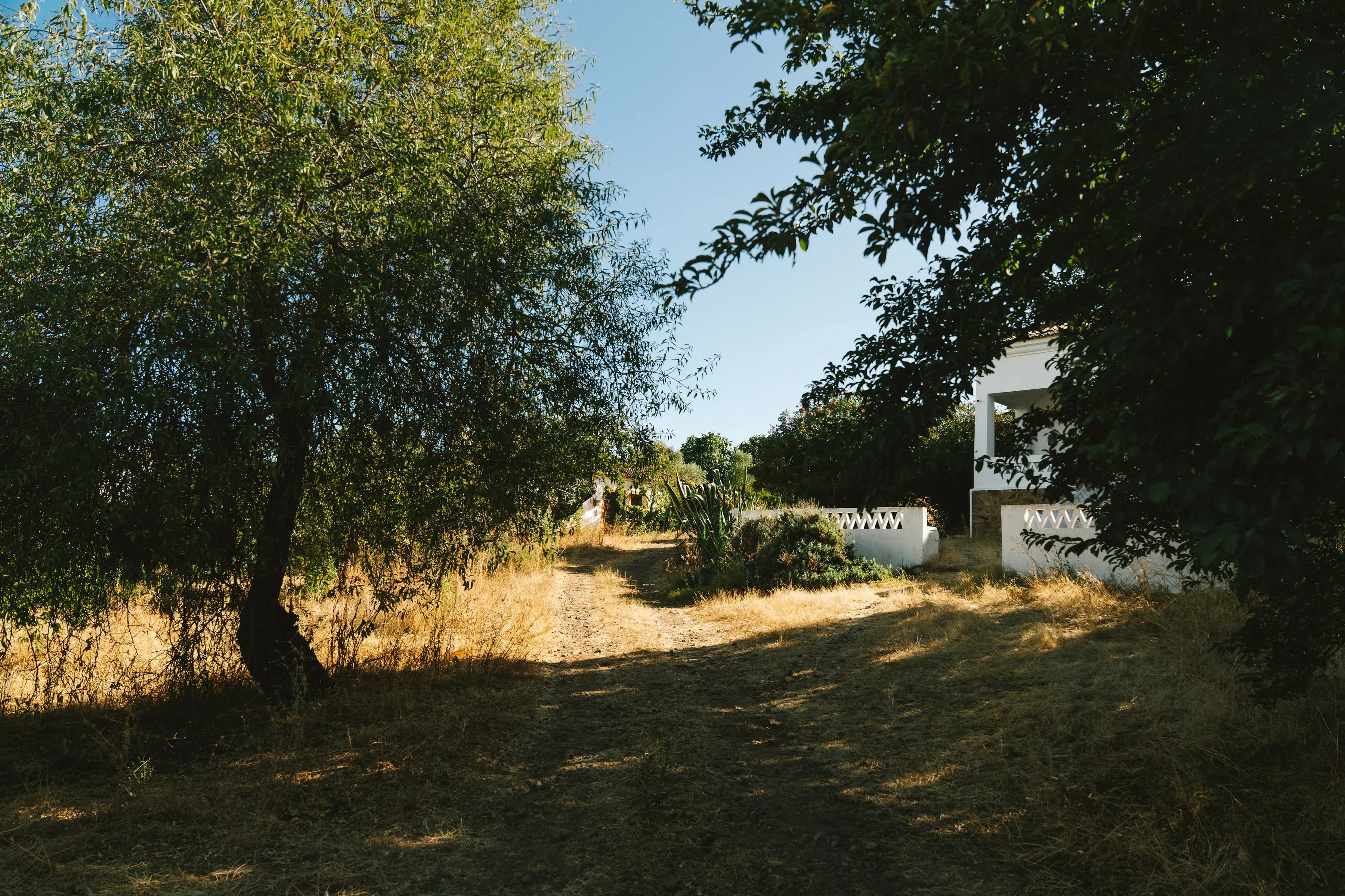 Vinho Monte D'Atalaya na taça