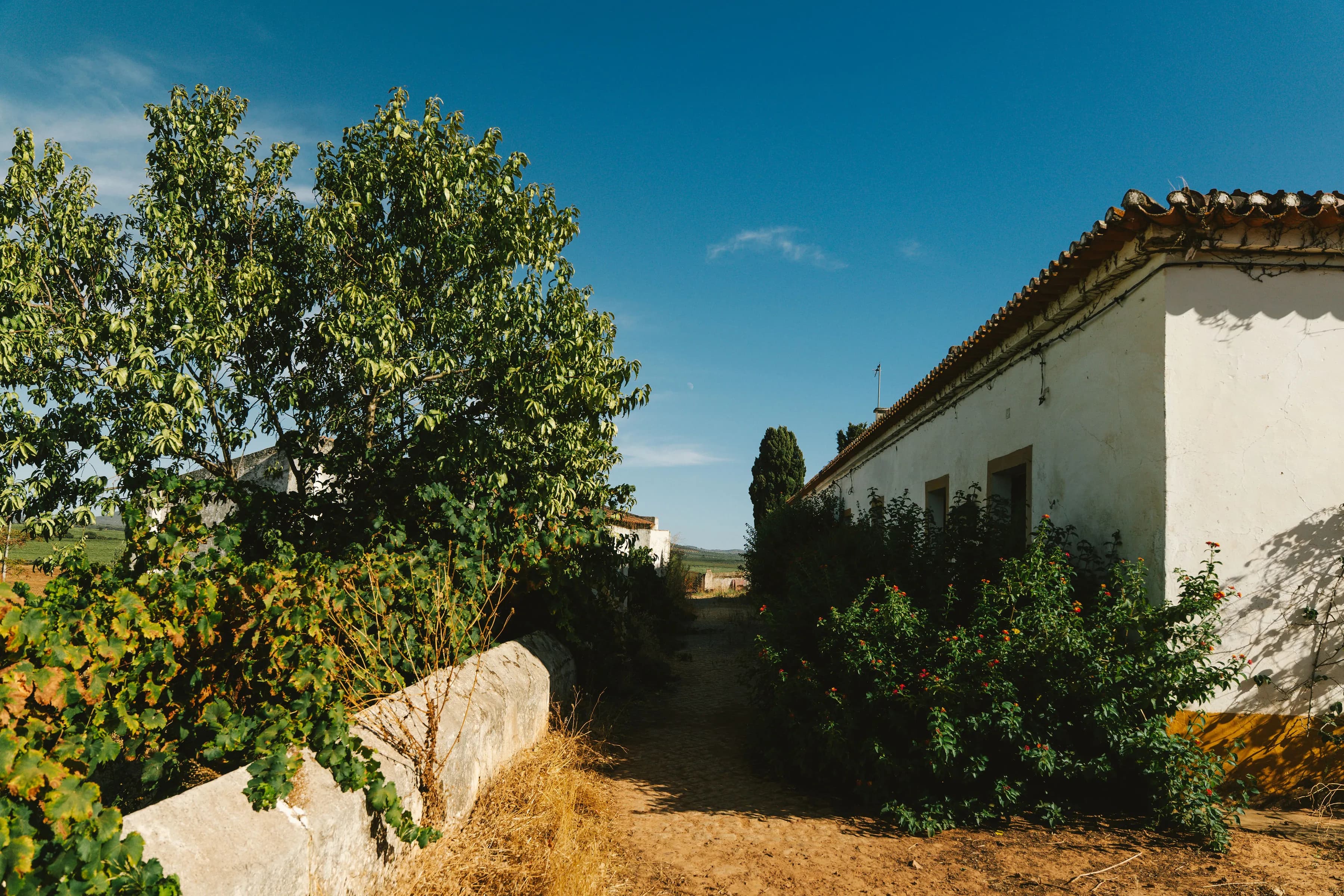 Paisagem da propriedade Monte D'Atalaya em Moura